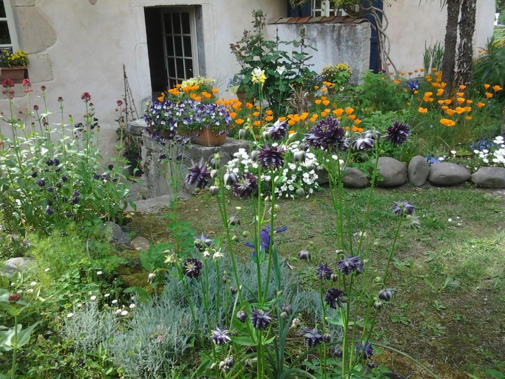 Chambres D'Hotes Aroha Sorde-lʼAbbaye Exterior foto